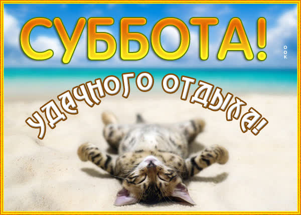 Postcard смешная картинка удачного отдыха