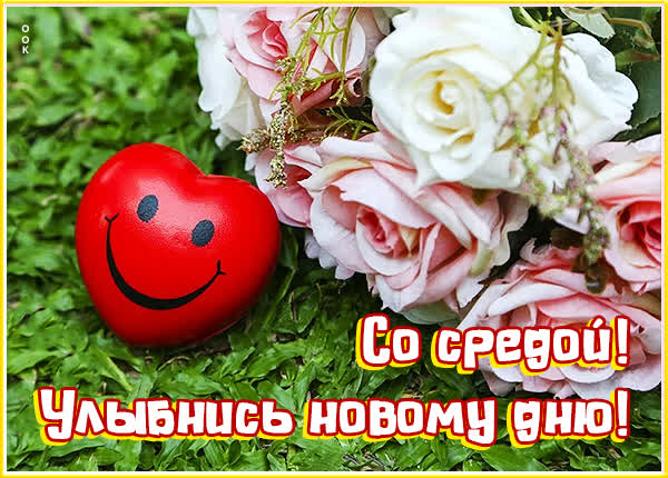 Postcard смешная картинка улыбнись новому дню