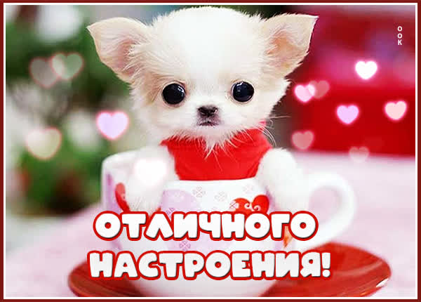 Postcard смешная картинка хорошего настроения