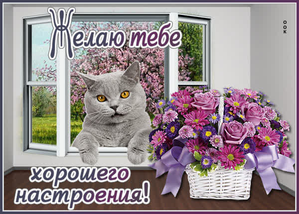 Postcard смешная картинка желаю тебе хорошего настрения