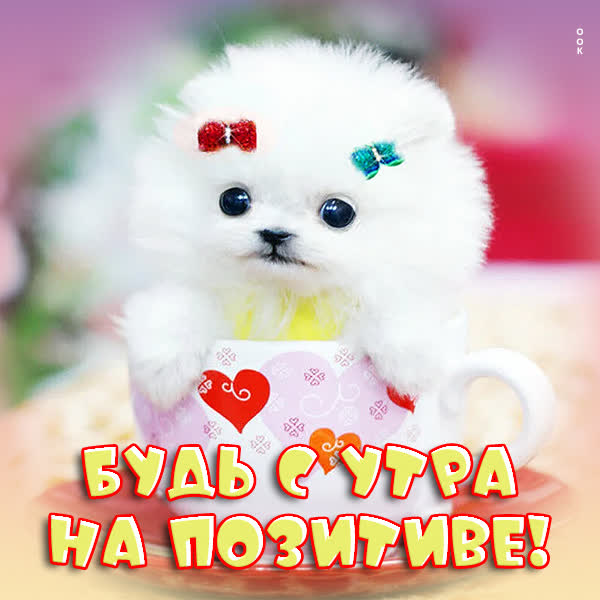 Picture смешная открытка будь с утра на позитиве