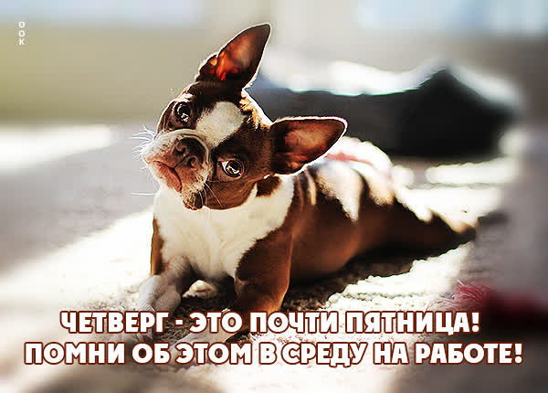 Picture смешная открытка четверг это почти пятница