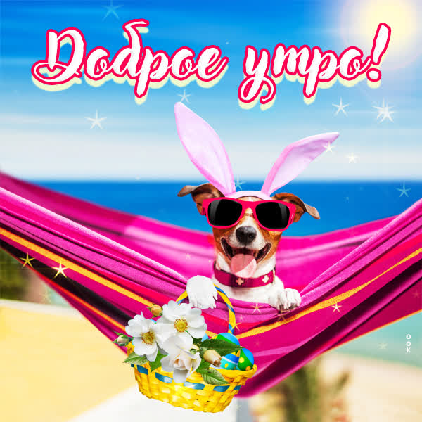 Picture смешная открытка доброе утро