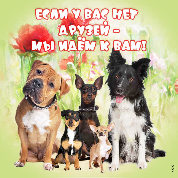 Picture смешная открытка мы идем к вам