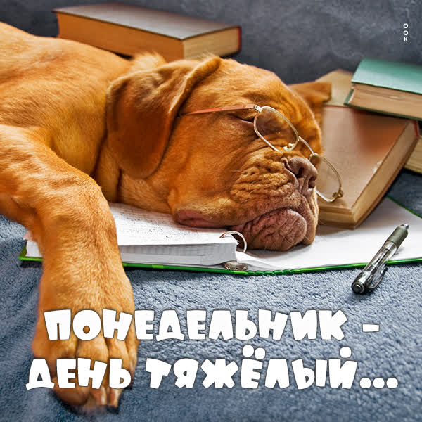 Picture смешная открытка понедельник день тяжелый