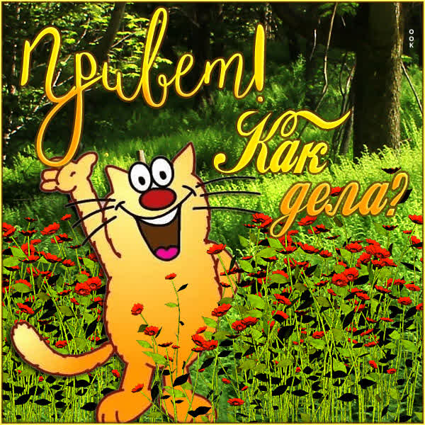 Picture смешная открытка привет