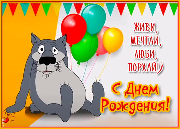 Picture смешная открытка с днем рождения