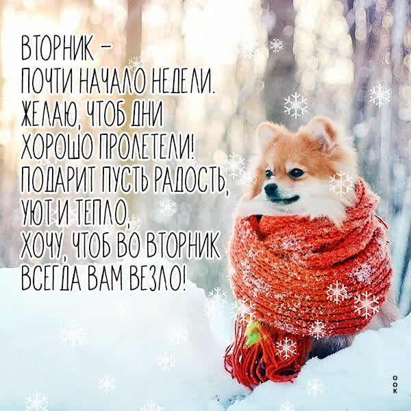 Postcard смешная открытка вторник почти начало недели