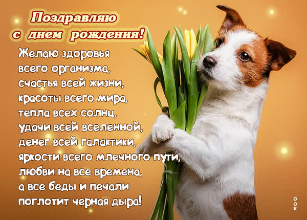 Picture смешная открытка желаю здоровья всего организма
