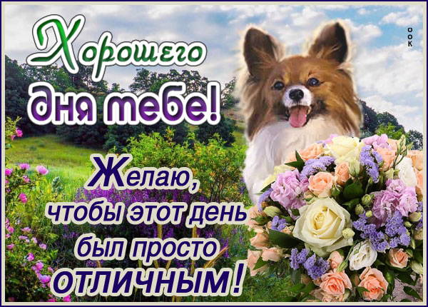 Картинка супер картинка для тебя