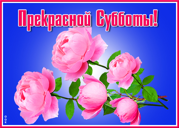 Картинка супер картинка прекрасной субботы