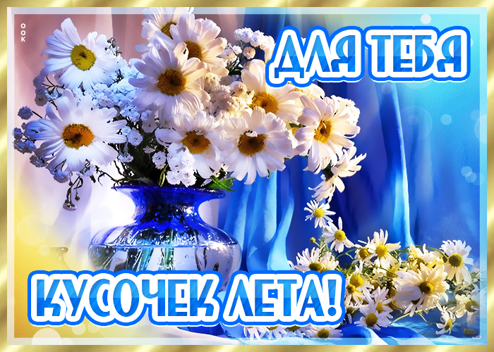 Открытка супер картинка с ромашками