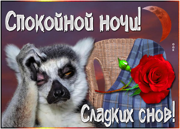 Картинка супер картинка сладких снов