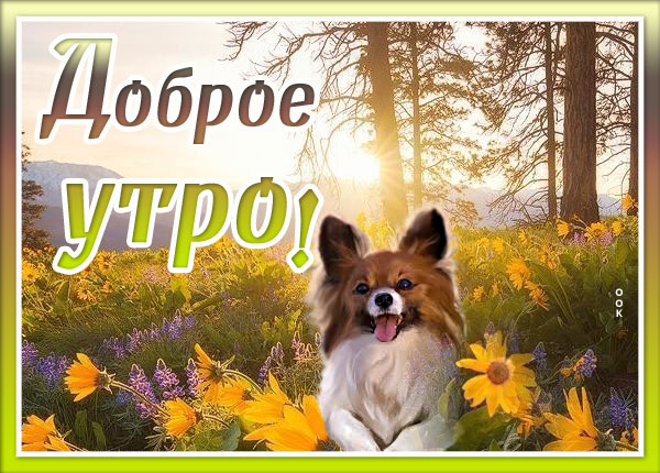 Открытка светлая картинка доброе утро