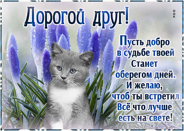 Postcard светлая открытка дорогой друг