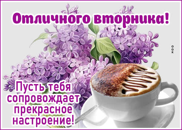 Picture свежая картинка отличного вторника
