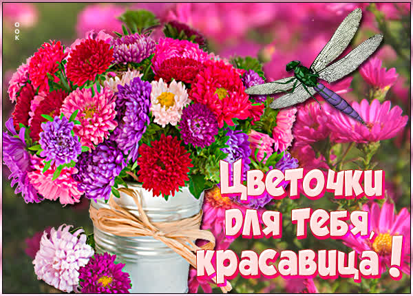 Picture свежая открытка красивой женщине с цветами