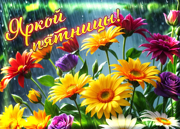Postcard традиционная открытка яркой пятницы