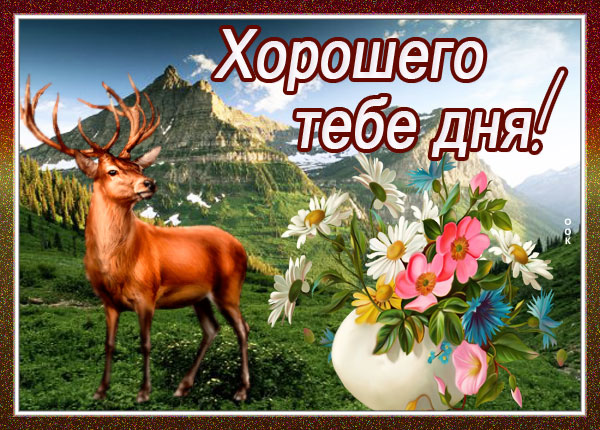 Картинка трогательная картинка хорошего дня