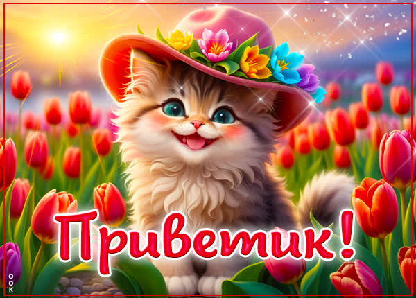 Postcard творческая открытка приветик