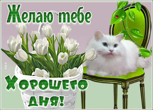 Открытка удачная открытка хорошего дня