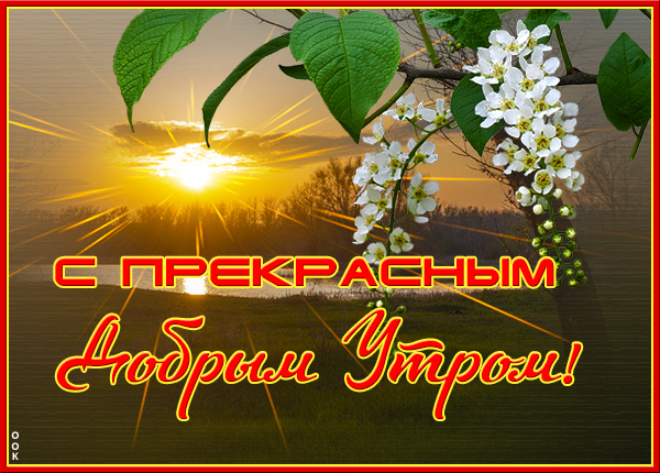 Картинка удивительная  картинка с добрым утром