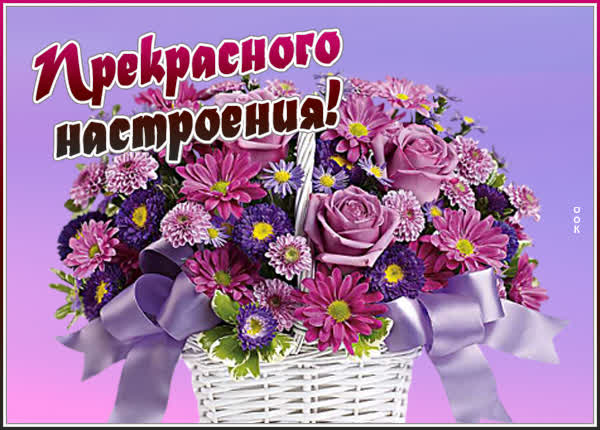 Postcard удивительная картинка хорошего настроения