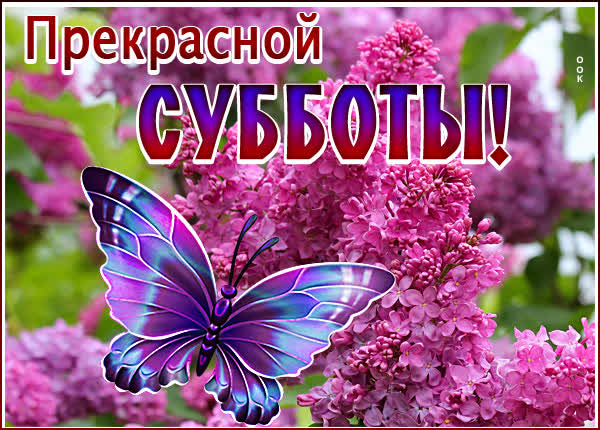 Picture удивительная открытка прекрасной субботы