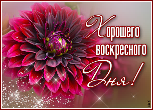 Postcard уютная картинка хорошего воскресного дня