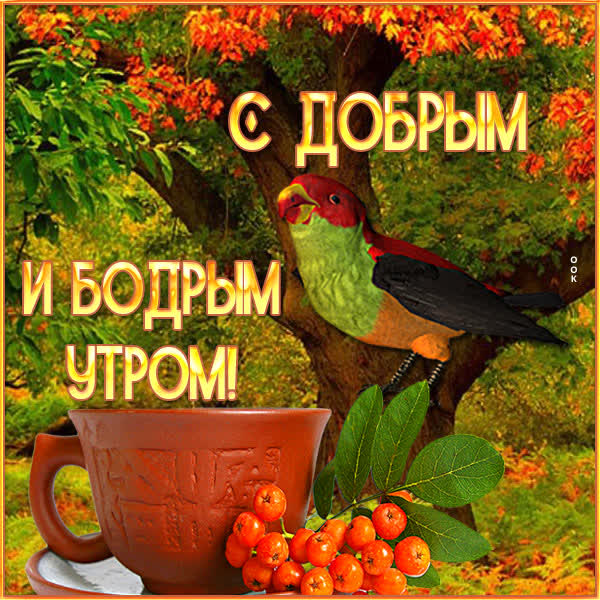 Postcard уютная открытка доброго осеннего утра