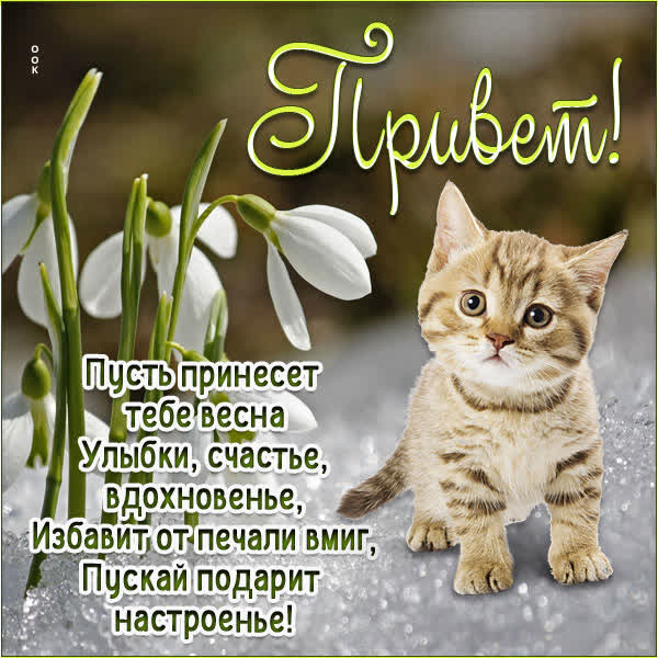 Postcard вдохновенная открытка привет