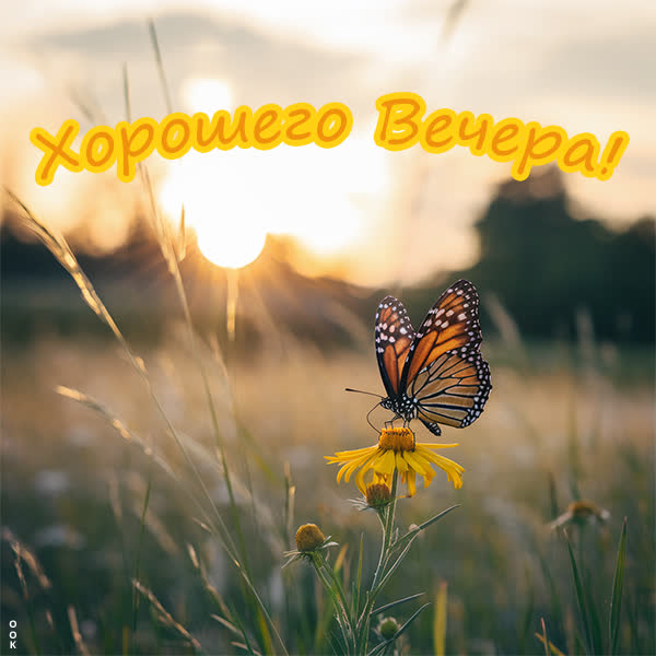 Postcard вдохновляющая открытка добрый вечер