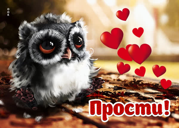 Picture вдохновляющая открытка прости