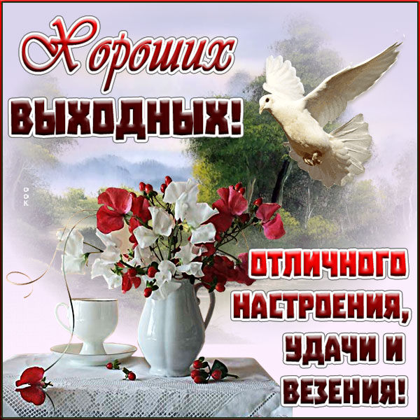 Открытка великолепная картинка хороших выходных с голубем