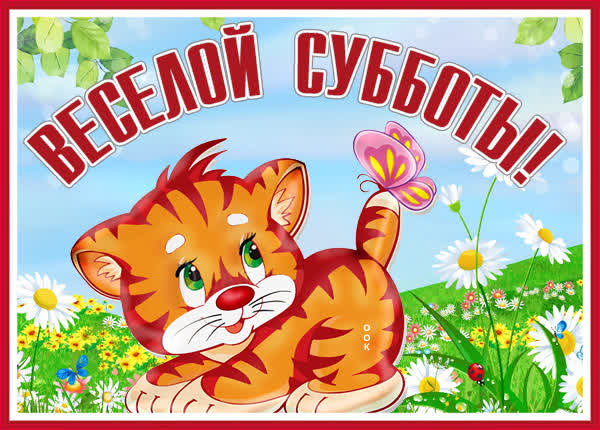 Postcard веселая картинка с субботой