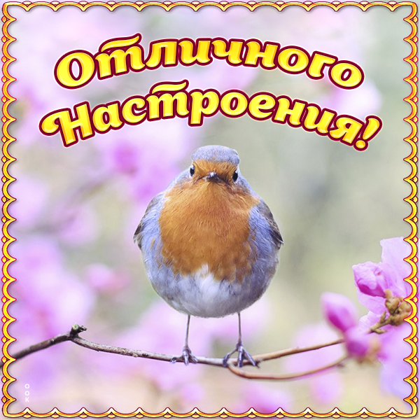 Открытка виртуальная картинка хорошего настроения