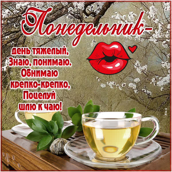 Postcard волшебная открытка понедельник