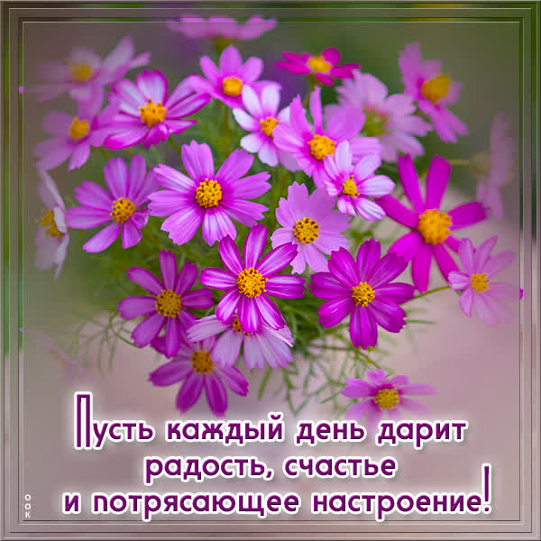 Picture волшебная открытка с цветами