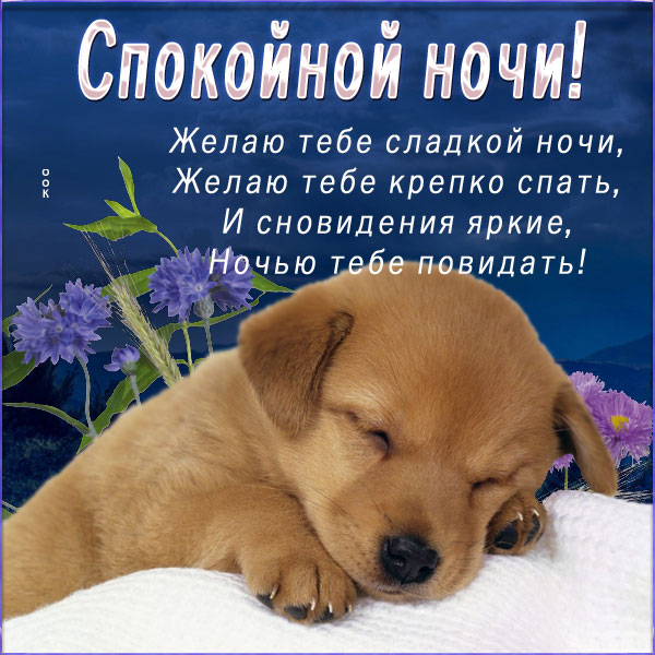 Открытка волшебная картинка спокойной ночи