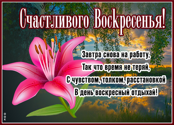 Картинка восхитительная открытка с воскресеньем