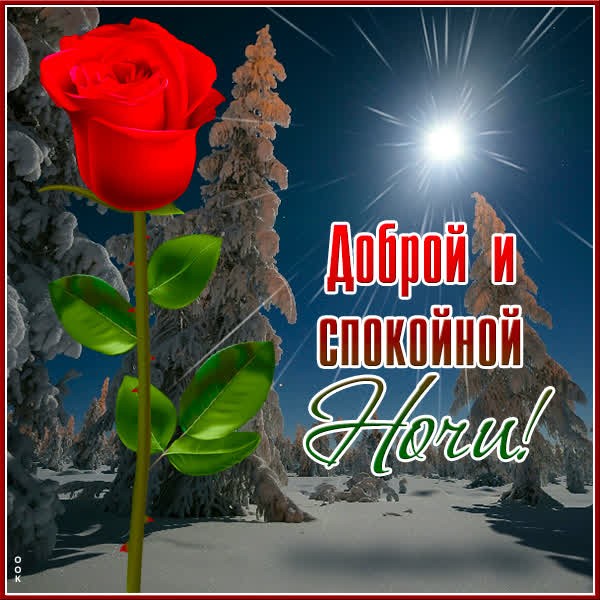 Postcard яркая картинка  доброй и спокойной ночи
