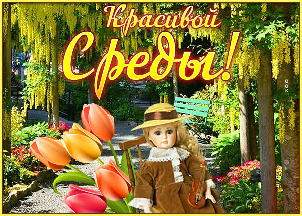 Picture яркая картинка красивой среды