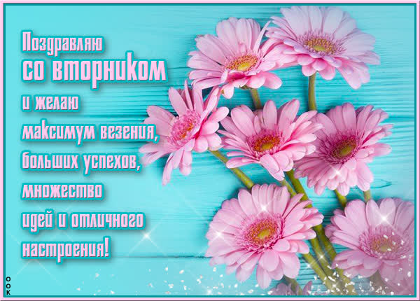 Postcard яркая картинка поздравляю со вторником
