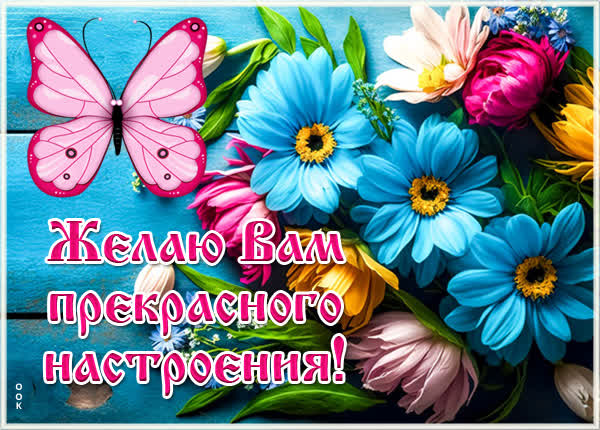Picture яркая картинка прекрасного настроения