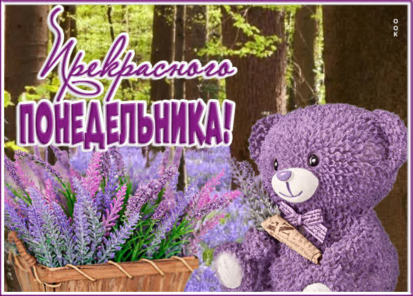 Picture яркая картинка прекрасного понедельника