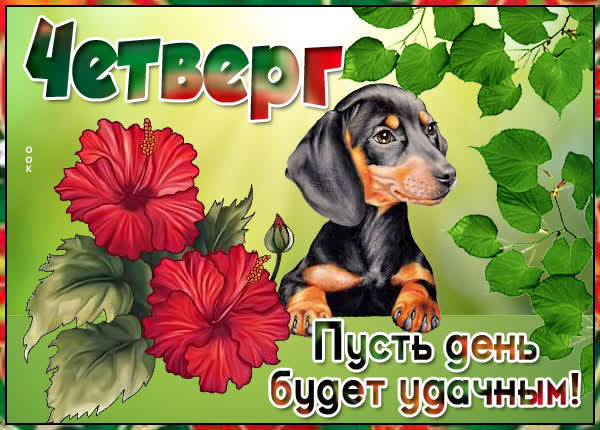 Picture яркая картинка пусть день будет удачным