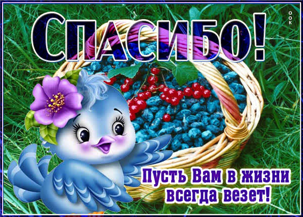 Picture яркая картинка пусть вам в жизни всегда везет