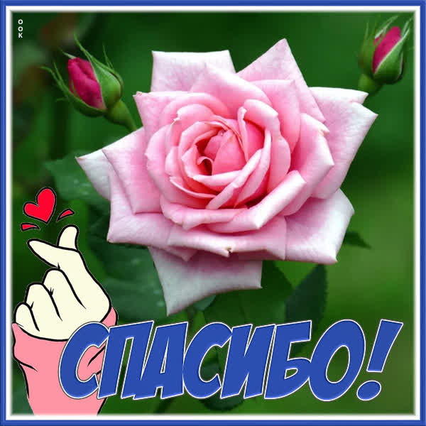 Postcard яркая картинка спасибо