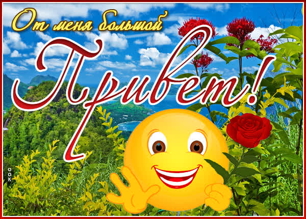 Postcard яркая картинка то меня большой привет