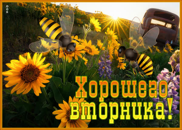 Postcard яркая картинка хорошего вторника